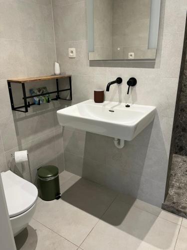 a bathroom with a white sink and a toilet at Guesthouse Kriebeke in Tielt