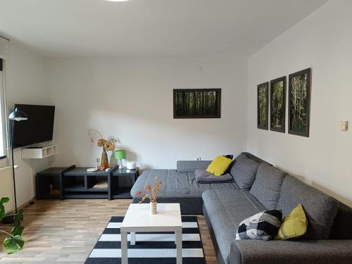 Apartman Novak
