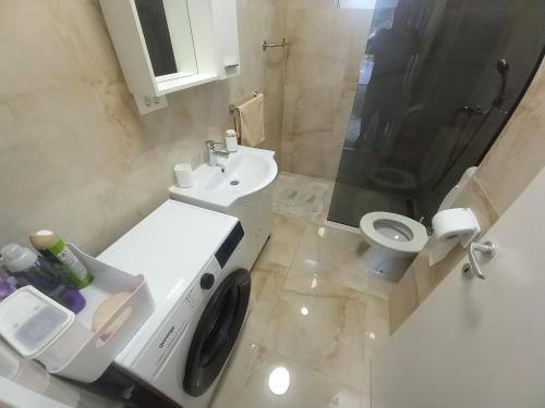 a bathroom with a washing machine next to a toilet at Vila Neve 87 Apartman in Veliko Brdo