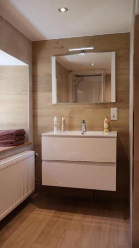 a bathroom with a sink and a mirror at Haus Wangen in Dürler