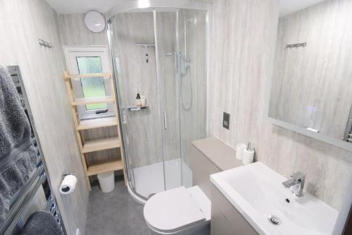 a bathroom with a shower and a toilet and a sink at Neaum Crag Lodge ideal for a couple or family with young children in a woodland setting at Skelwith Bridge in Grasmere
