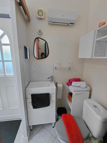a bathroom with a toilet and a sink and a mirror at chambre d 'hôtes les Orchidées in Perpignan