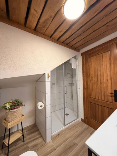 a bathroom with a shower with a glass door at APARTAMENTOS EL CORITU, estrenamos dos apartamentos, el 4 y 5 in Nieda