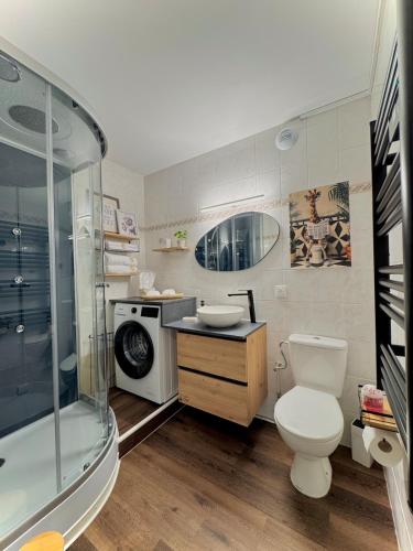 a bathroom with a toilet and a sink and a shower at Pearly EuroPoint in Saint-Louis
