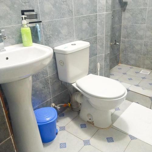 a bathroom with a white toilet and a sink at R 19 Kogelo Villas in Kisumu