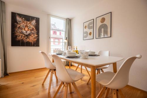 Modern Apartment in Central Basel near Rhine - Special TOP LUX 22 Apartment, up to 3 guests