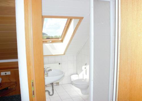 a bathroom with a sink and a toilet with a skylight at Hotel Garni Silberdistel in Nenningen