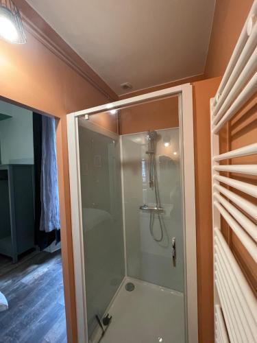 a shower with a glass door in a bathroom at Le balcon du Beffroi in Fougères