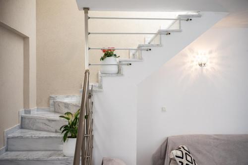 a staircase with two potted plants on it at Villa Leta in Kokkari
