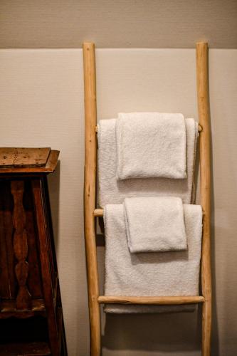 two towels on a towel rack in a room at Les Appartements du Vignoble in Kientzheim