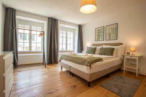 Spacious Apartment in Central Basel near Rhine - Special TOP LUX 14 Apartment, Basel, up to 8 guests