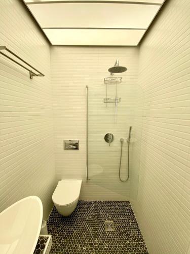 a white bathroom with a toilet and a shower at Apollo House in Lefkada