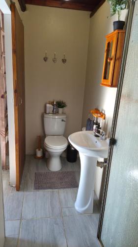 a bathroom with a toilet and a sink at King's Hill Guest House in Hilton