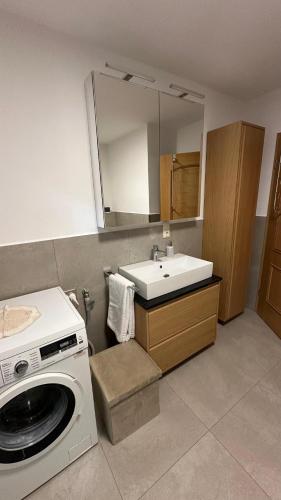 a bathroom with a washing machine and a sink at Ferienwohnung Wirtz in Olzheim