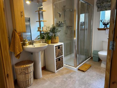 a bathroom with a shower and a sink and a toilet at Antlers Rest in Borve