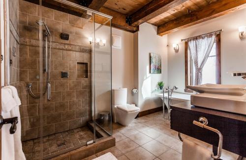 a bathroom with a shower and a toilet and a sink at Chalet Le Mont-Blanc in Saint-Faustin