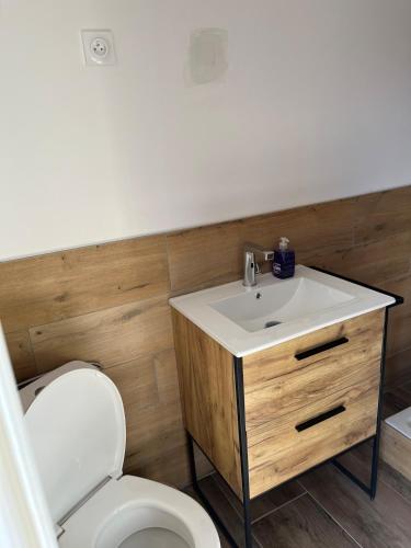 a bathroom with a sink and a toilet at Maison f3 climatisée in Montceau-les-Mines