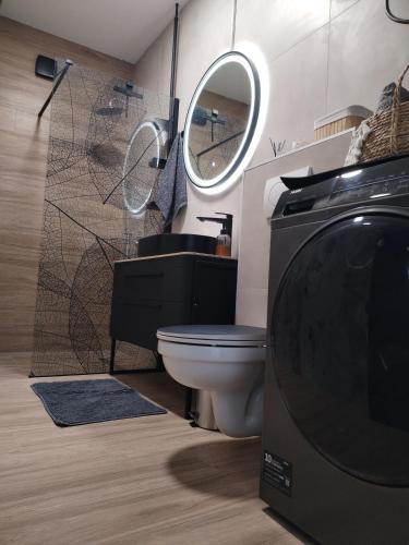 a bathroom with a toilet and a sink and a mirror at Apartment Ćulum in Peračko Blato