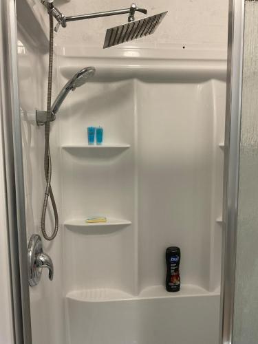 a shower stall with shelves in a bathroom at Sweet Escape Cozy Studio in Fort Lauderdale