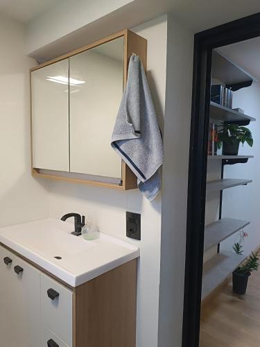 a bathroom with a sink and a mirror at Refúgio Subterrâneo in Genuino Sampaio