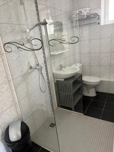 a bathroom with a shower and a toilet and a sink at Chambre Confort Double lit in Toul