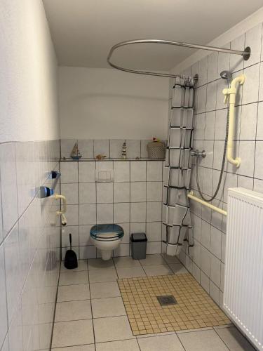 a bathroom with a toilet and a shower at Ferienhaus am Rad- und Wanderweg in Nerdlen