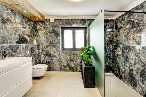 a bathroom with a toilet and a sink at Das Bergnest Maishofen in Maishofen