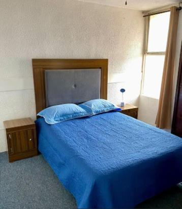 a bedroom with a blue bed with two blue pillows at Tu depa en SLP in San Luis Potosí