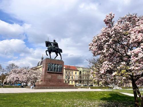Apartman Jedro