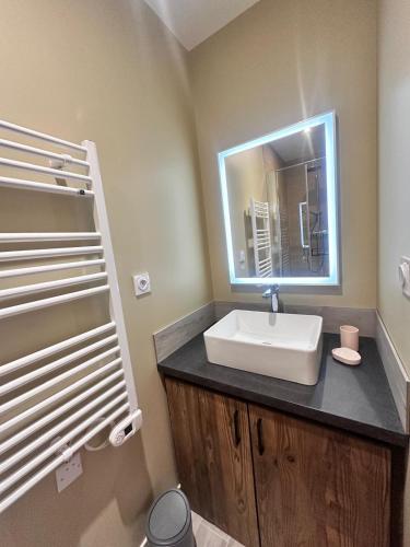a bathroom with a sink and a mirror at L'annexe du vigneron in Châtillon-sur-Cher