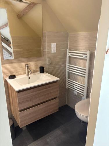 a bathroom with a sink and a toilet at L'écurie du vigneron in Châtillon-sur-Cher