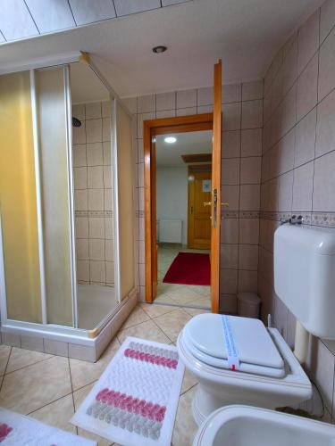 a bathroom with a shower and a toilet and a sink at Stan na dan Cazin in Cazin