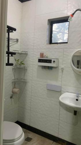 a bathroom with a toilet and a sink at Digong Guest House Mulogan in Molugan