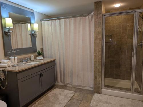 a bathroom with a shower and a sink at Country Charm 1 Bd Balcony Views in Vernon Township