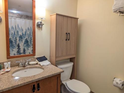 a bathroom with a toilet and a sink and a mirror at Slope side cozy Studio in Vernon Township
