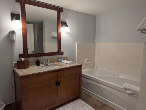 a bathroom with a sink and a tub and a mirror at Great Views 2 Bed 2 Bath Updated in Vernon Township