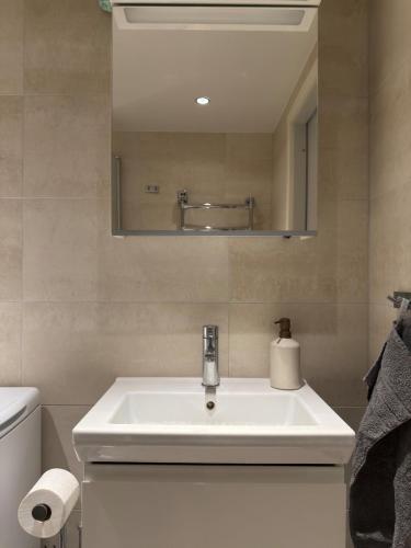 a bathroom with a white sink and a mirror at Penthouse Studio in Stockholm