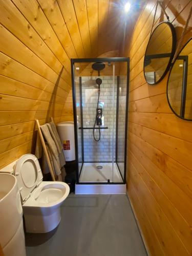 a bathroom with a shower and a toilet and a sink at Triarca Vinum House in Sabrosa