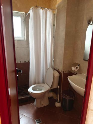 a bathroom with a toilet and a sink at Димоли in Elin Pelin