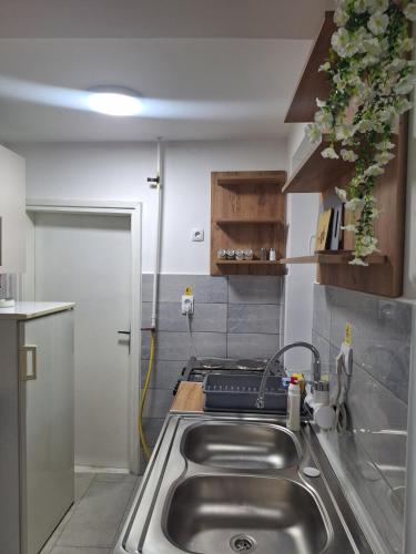 a kitchen with a stainless steel sink and a stove at King Rooms in Novi Kneževac