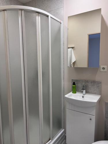 a bathroom with a shower and a sink at Straumes apartamenti in Valmiera