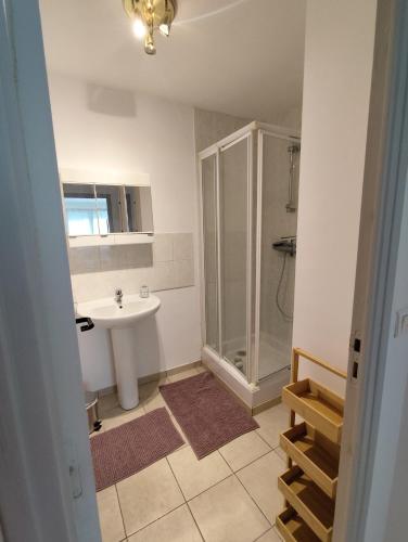 a bathroom with a shower and a sink at Appart 2 Ch Bollezeele in Bollezeele