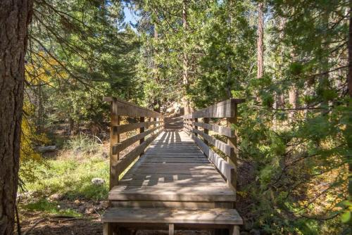 a wooden bridge in the middle of a forest at Bear's Den in Kings Beach