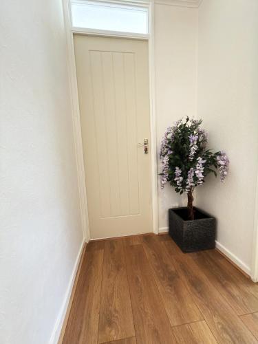 Modern 2BR Near City Centre -free Parking-Garden 6-8 photo 16