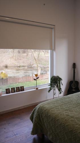 ein Schlafzimmer mit Fenster, einem Bett und einer Pflanze in der Unterkunft The Weeping Willow Retreat - Luca in Valea Cheii