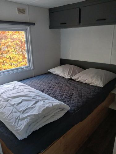 a large bed in a room with a window at DeerN'Wood in Trois-Ponts