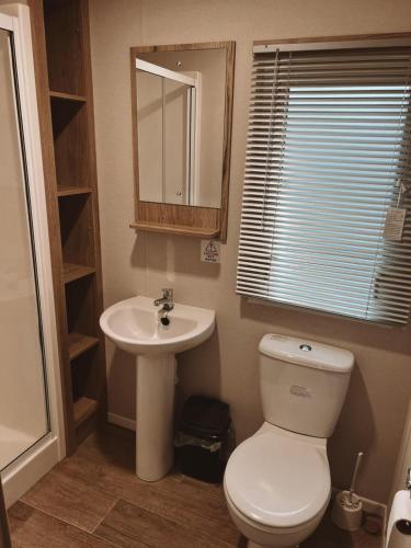 a bathroom with a toilet and a sink at St Nicolas in Girvan