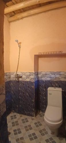 a bathroom with a toilet and a shower at ZAZA Guest house in Agoudal