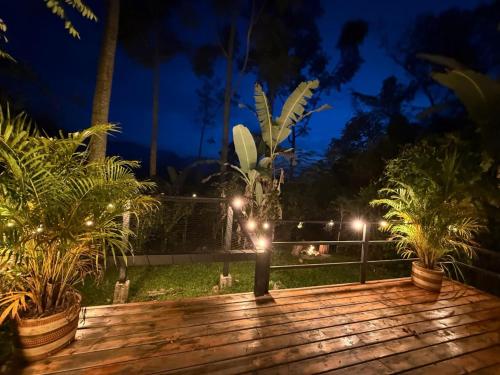 a deck with palm trees and lights at night at Cabañas La Arboleda in La Vega