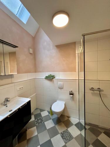a bathroom with a toilet and a sink and a shower at Haus Ambiente in Reil